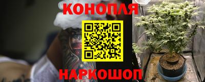 гашиш Гатчина
