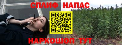 спиды Гагарин