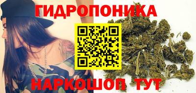 спиды Гагарин