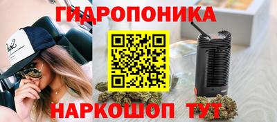 спиды Гагарин