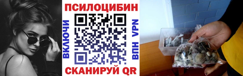 Псилоцибиновые грибы Psilocybe  Кизилюрт 