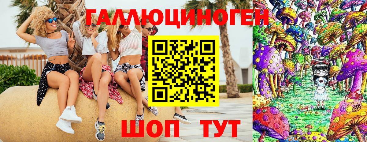 Кизилюрт  Галлюциногенные грибы мицелий  Вход с VPN 